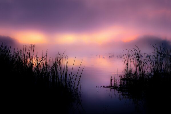 Matin auparavant brumeux sur le lac