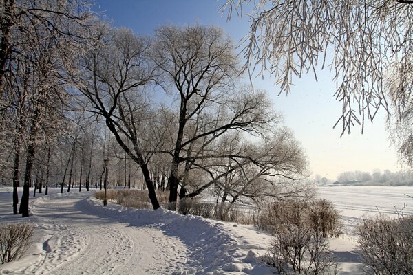 Winter forest road and frozen lake