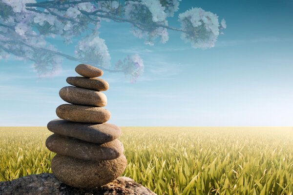 A pyramid of pebbles on the grass