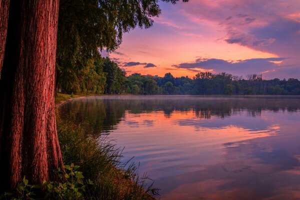 Landschaft mit Sonnenuntergang am Waldsee