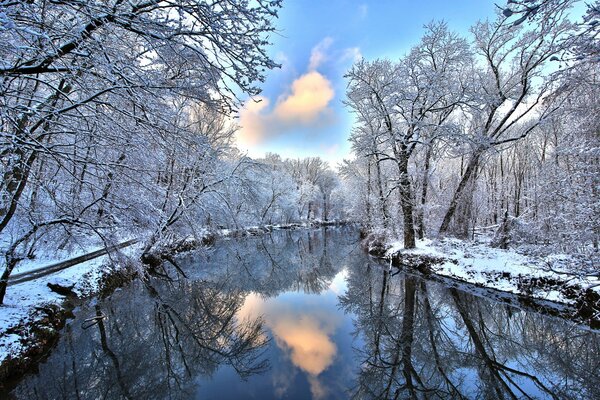 Fiume invernale nella foresta innevata