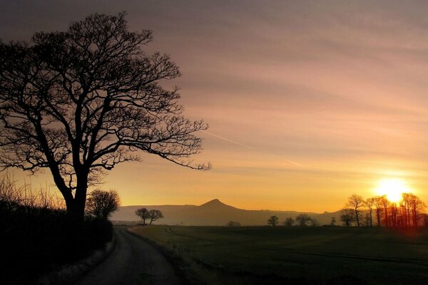 Paysage avec arbre et montagnes au coucher du soleil