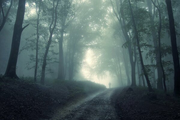 Nebbia nella foresta e uomo solitario che cammina lungo il sentiero