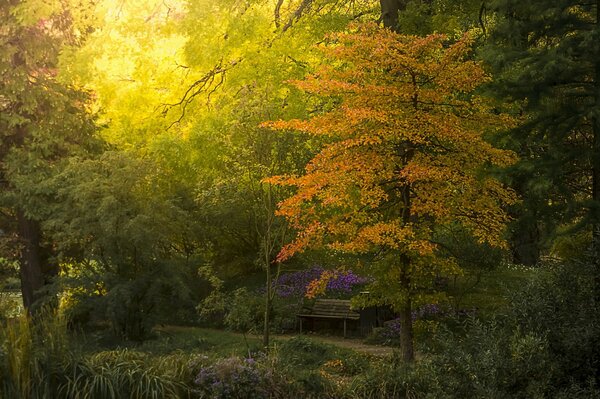 Banc dans le jardin Botanique