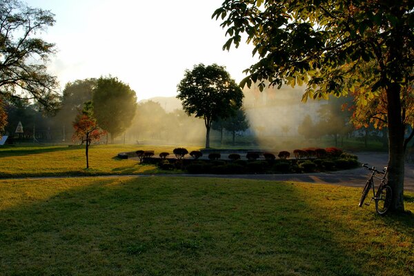 Soleil brille dans le parc