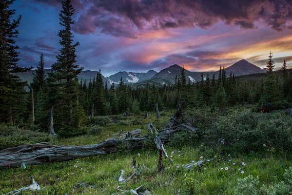 Mountainous and wooded area in cloudy weather