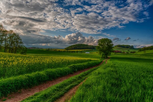 Paisaje de la naturaleza con hermoso cielo y campo