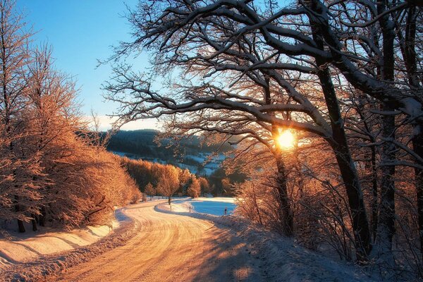 Camino a través del bosque de invierno bajo el sol