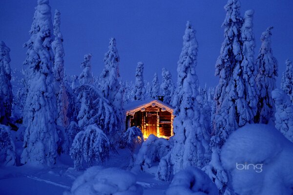 A house among snow-covered Christmas trees