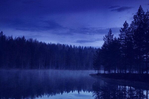 Abendwald auf Flusshintergrund