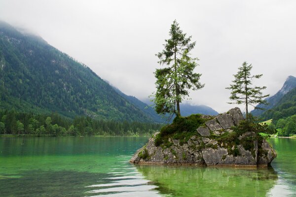 Bayern Foto Wald See und Berge