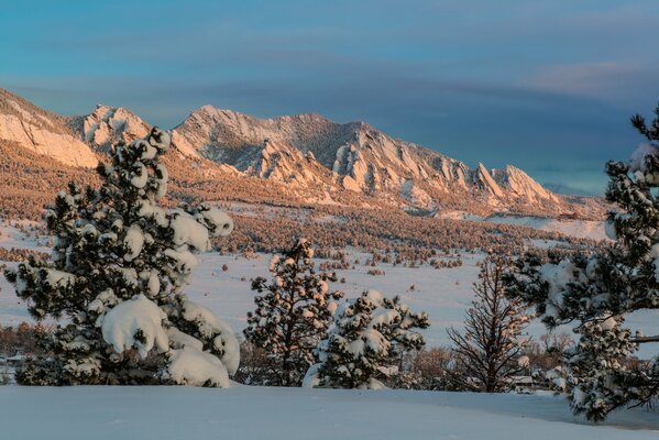 Winter forest with mountains and trees