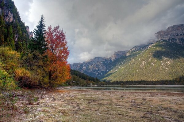 Montañas y bosques en otoño. Cielo sombrío