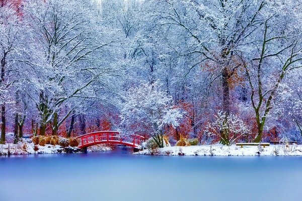 Paisaje de naturaleza invernal con árboles