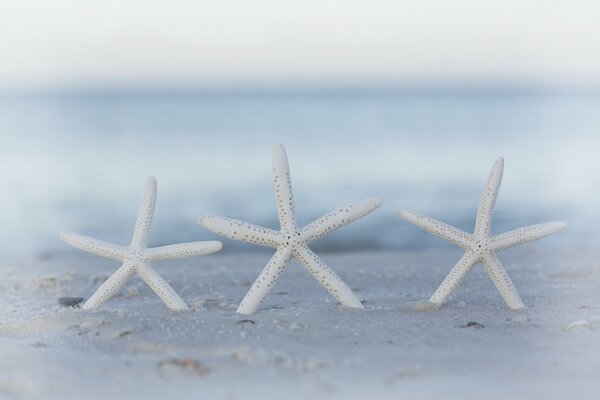 Bokeh on the beach in the sand