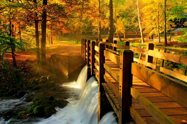 Chute d eau du pont sur la rivière