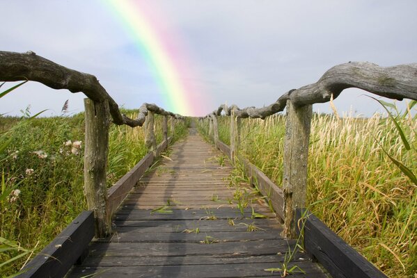 Un sentiero in legno conduce all arcobaleno