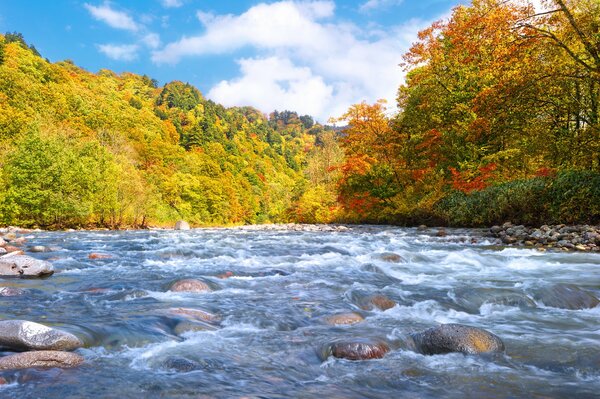 Río y piedras a principios de otoño