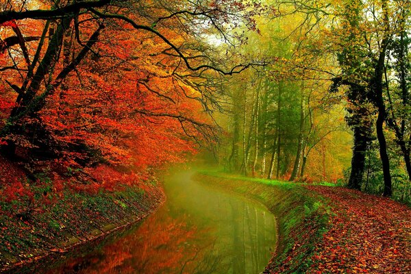 The path to the valley of the river of the autumn forest