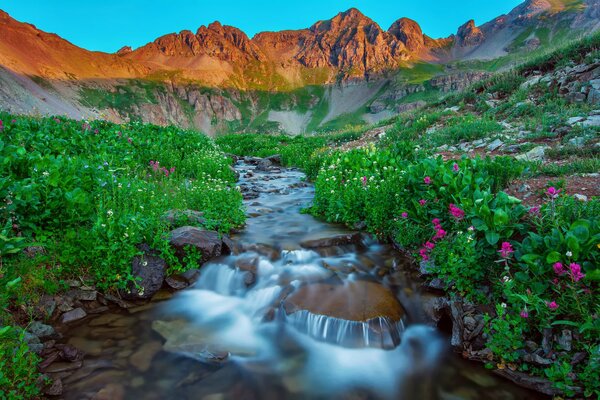 Bright greenery in the mountains