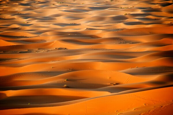 Dunes in the desert of Morocco resemble the sea