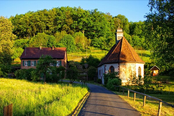 Acogedoras pequeñas casas en medio de la vegetación y el bosque