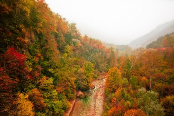 Vista superior del paisaje de otoño