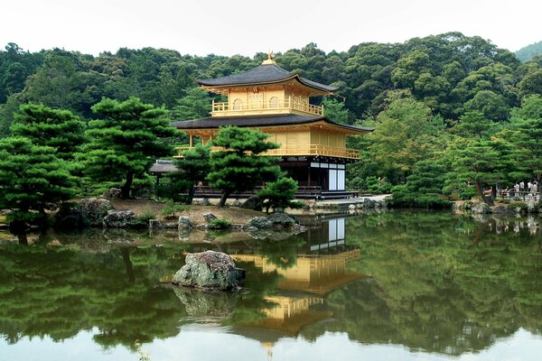 Clima despejado en Japón árboles se muestran en el río