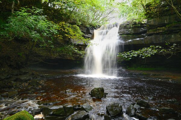 Waterfall stream in the green forest