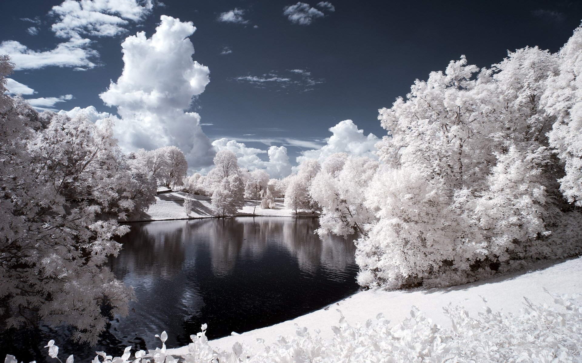 winter snow tree forest night river beach landscape sky cloud