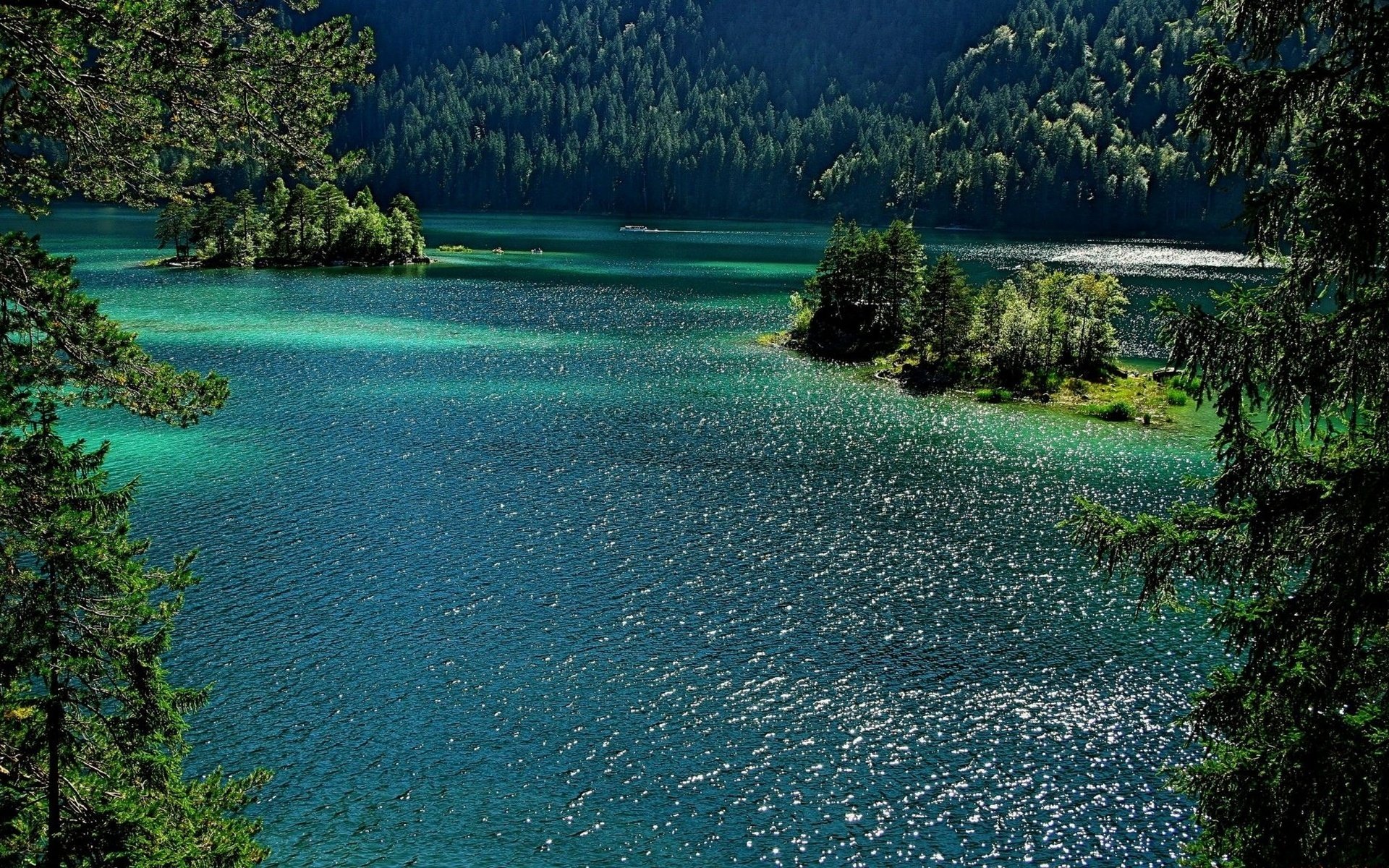 lago alberi estate natura paesaggio foresta