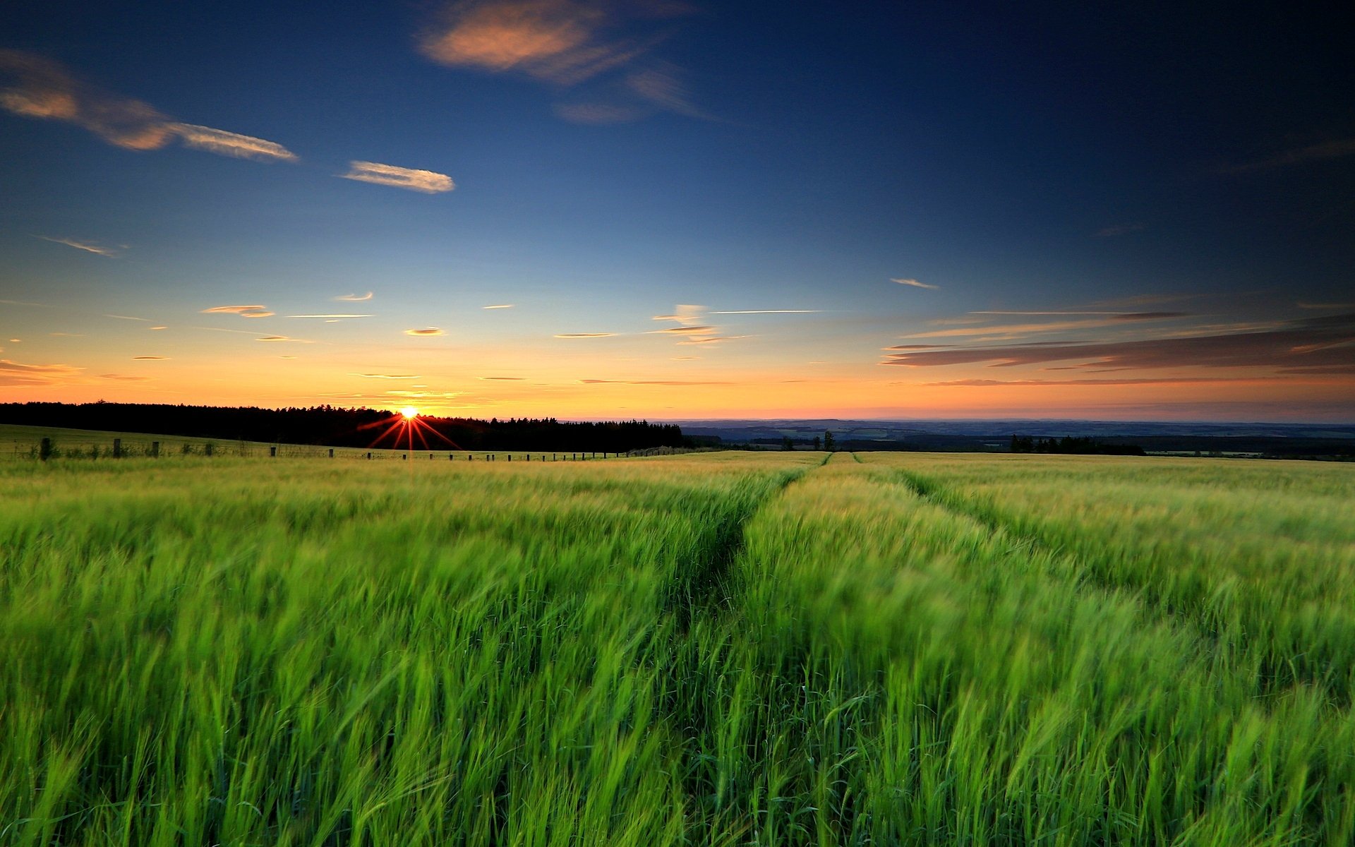 natur landschaft grün gras feld sonne sonnenuntergang abend himmel hintergrund tapete widescreen vollbild widescreen widescreen