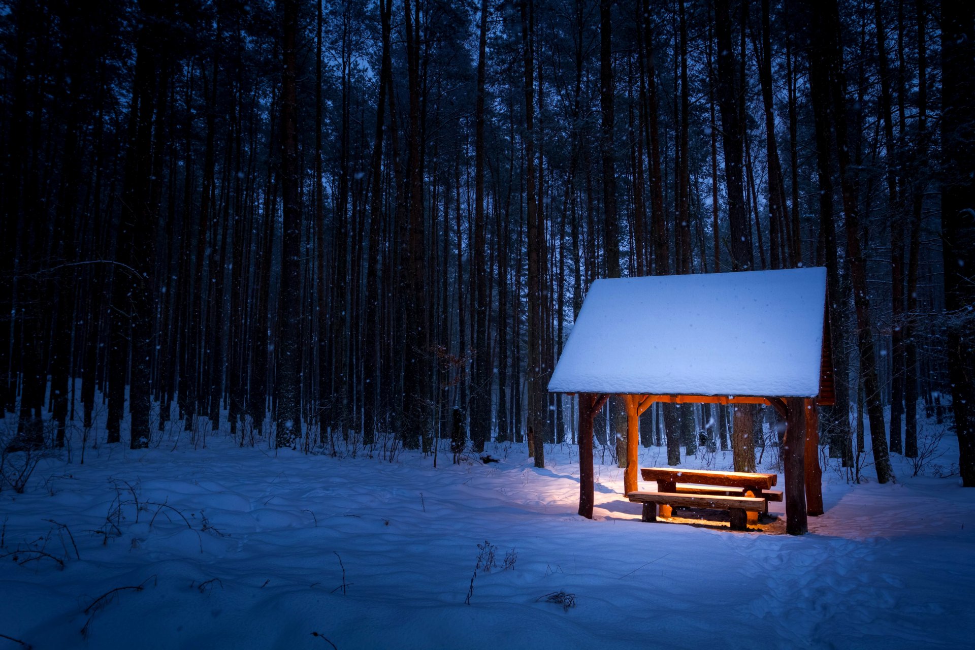 hiver neige traces flocons de neige forêt arbres buissons auvent banc banc table banc éclairage lumière