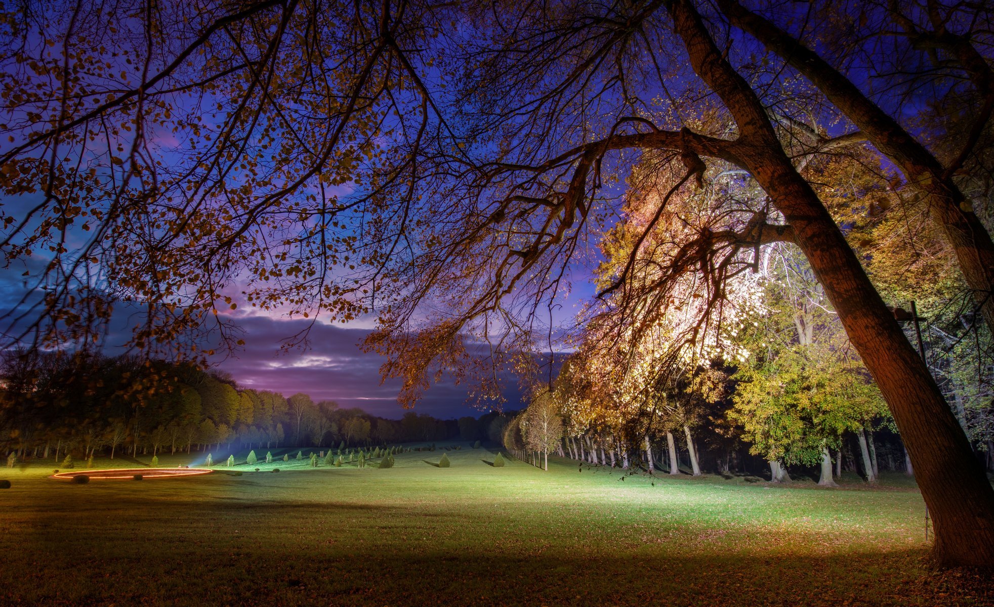 natura drzewo drzewa liście kwiaty kwiaty wieczór tło tapeta panoramiczny pełny ekran panoramiczny panoramiczny