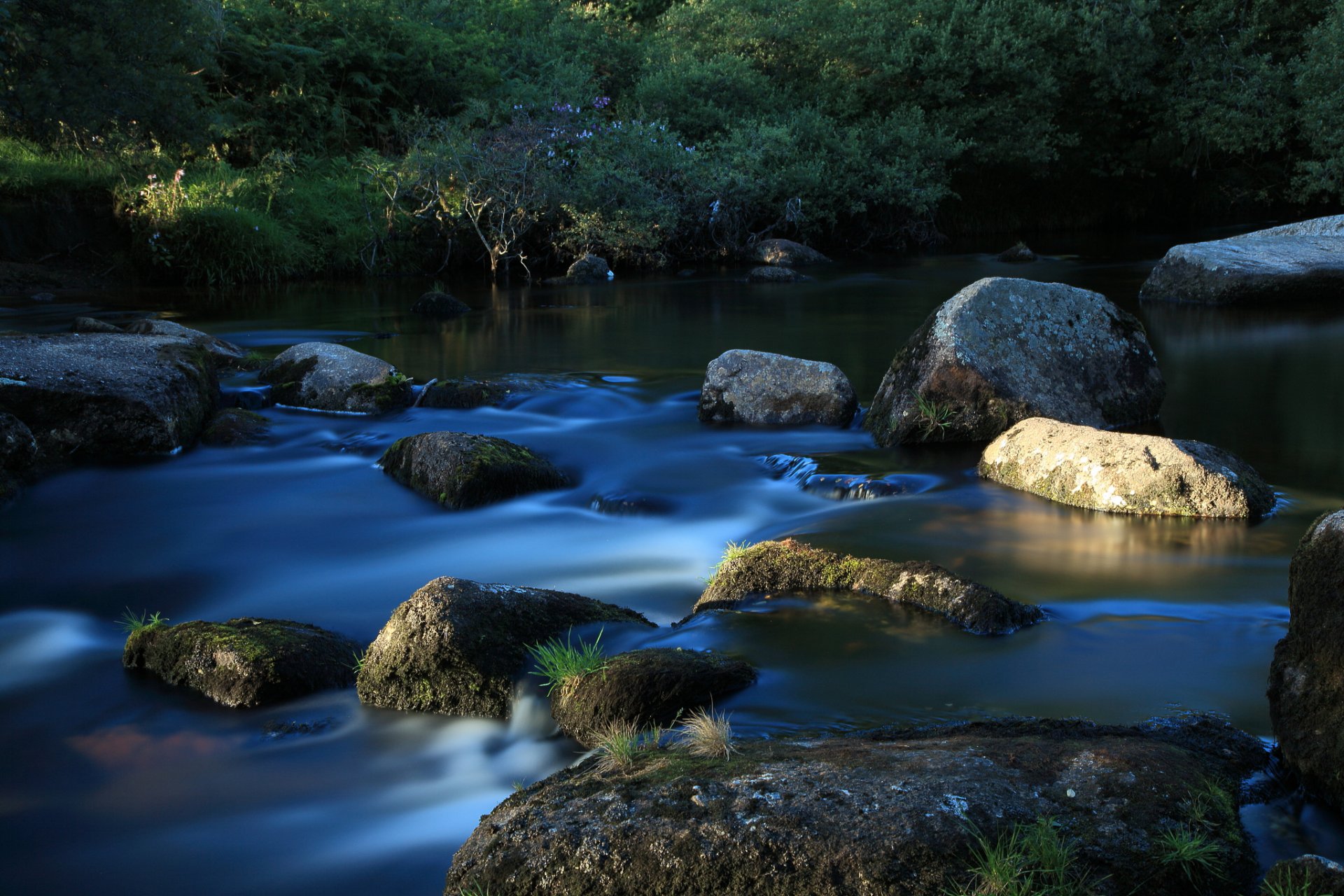 gras fluss bach steine