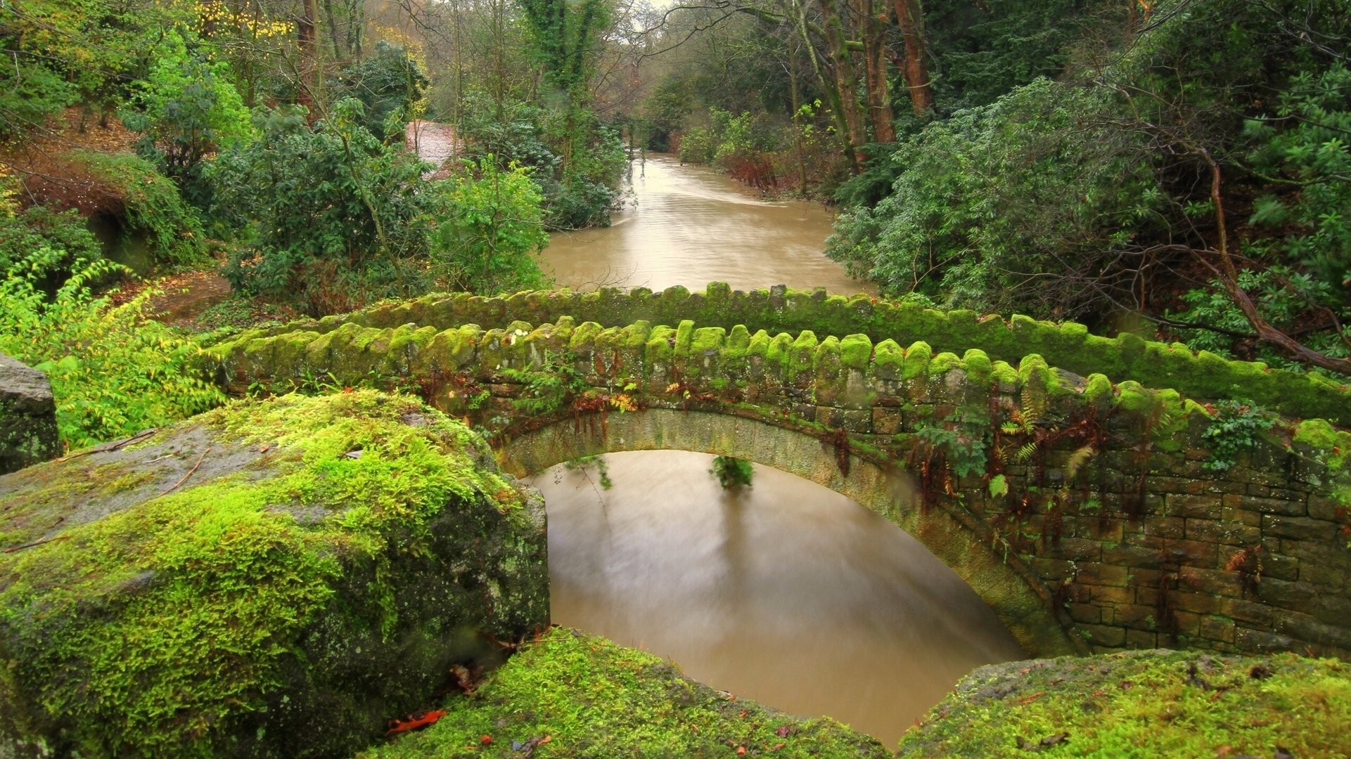 jesmond dene newcastle england brücke fluss steine moos wald