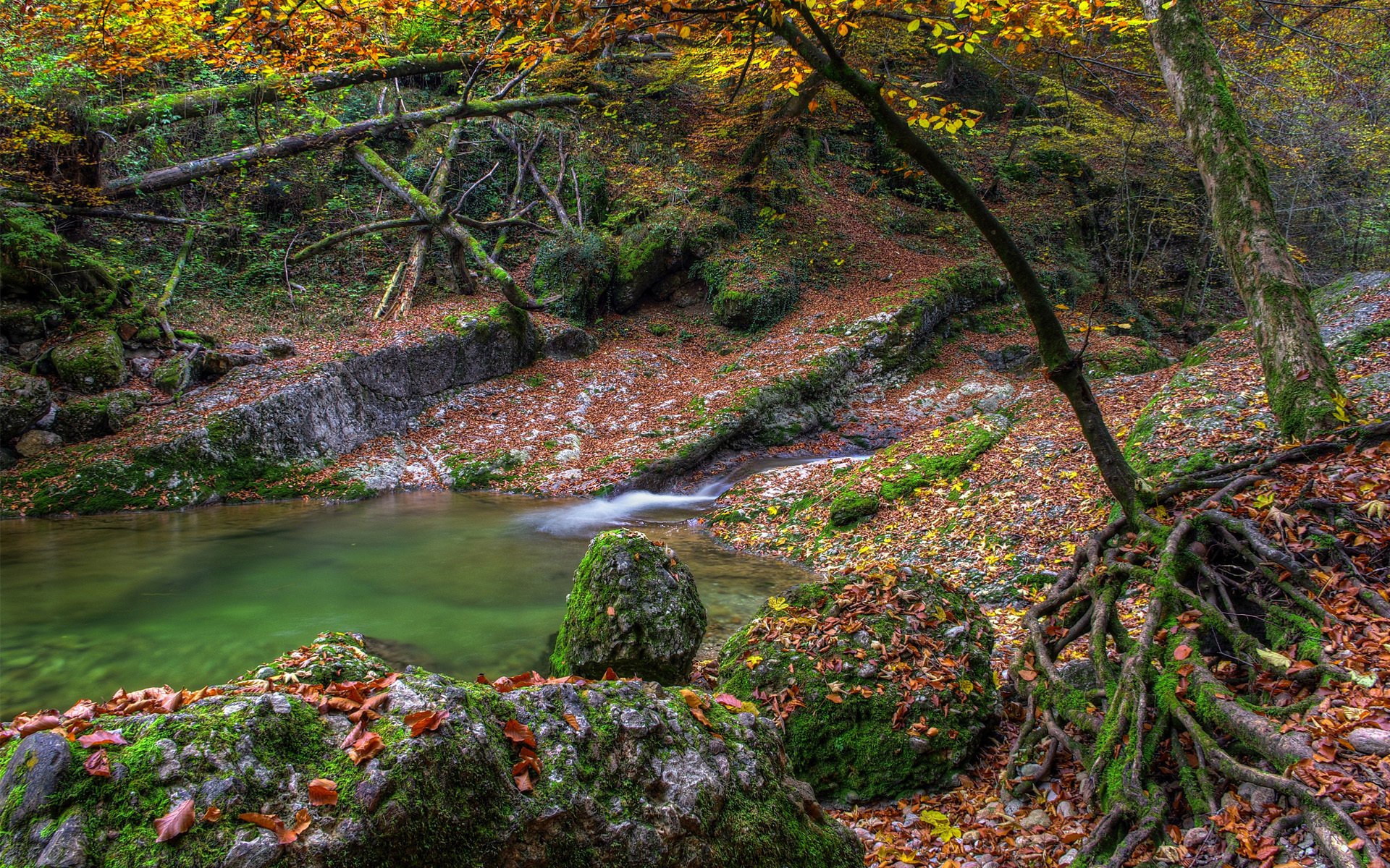 automne eau pierres mousse arbres rivière lac feuilles