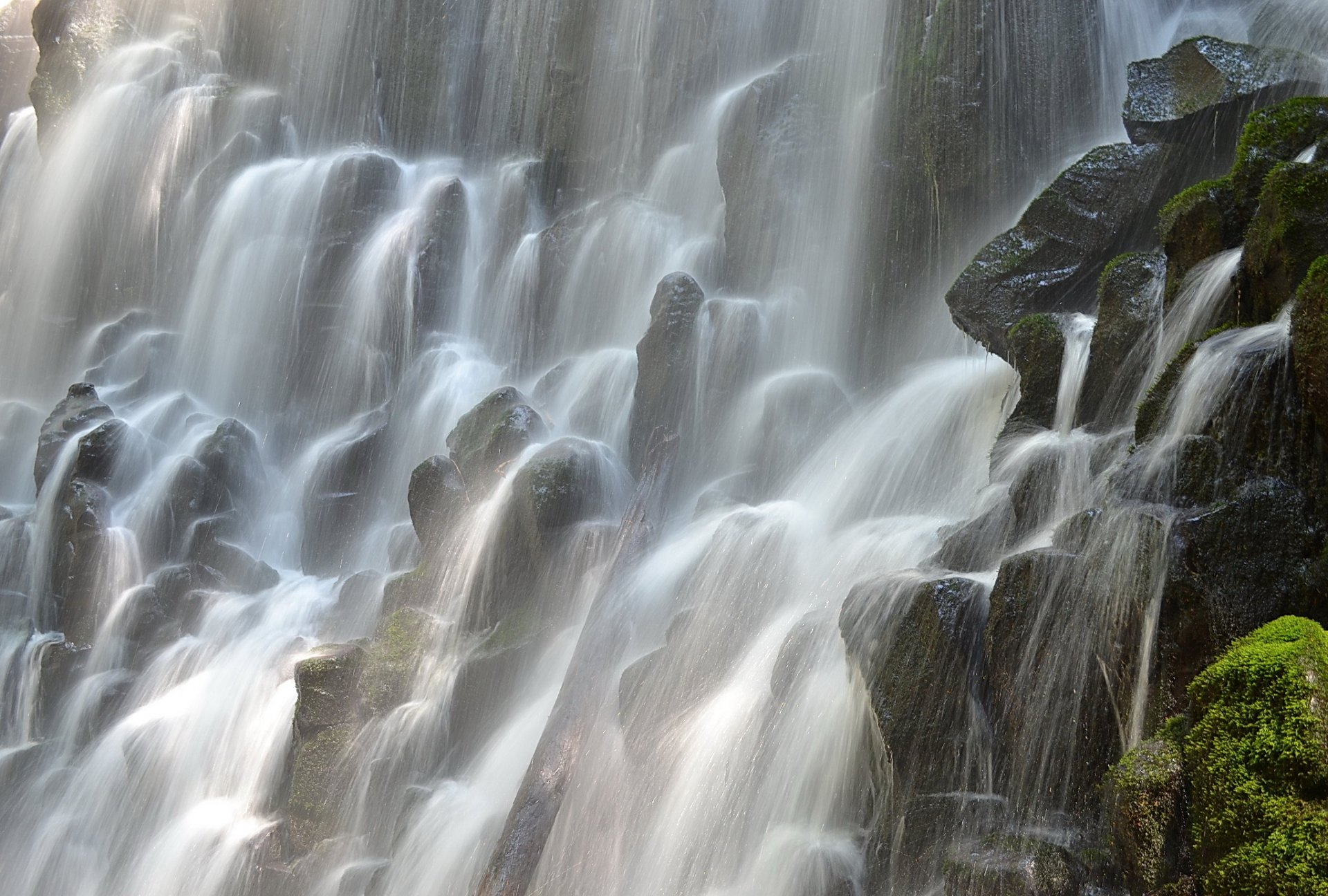 ramona falls oregon stones moss flows spray