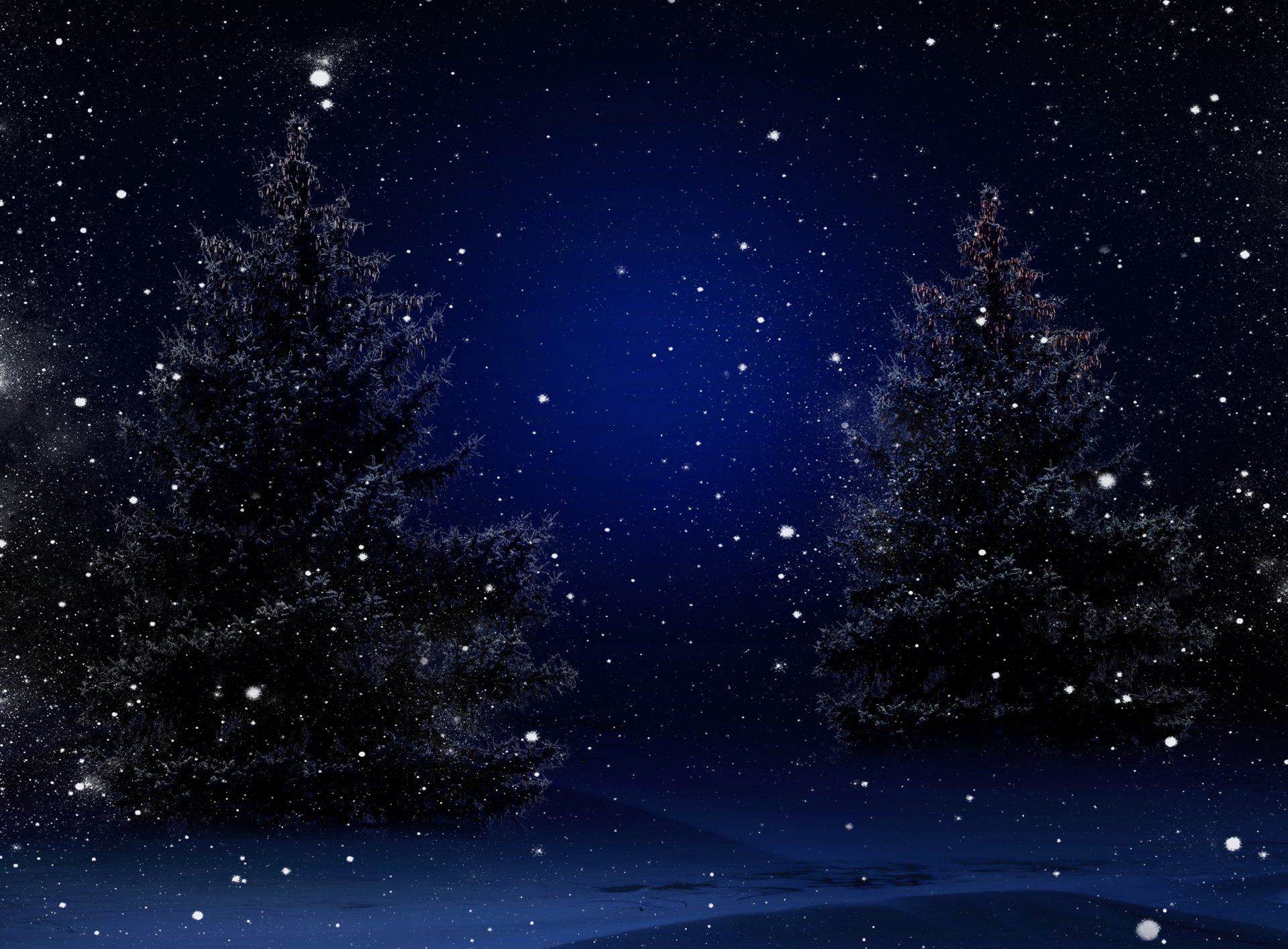 nature trees winter snow merry christmas new year christmas tree magic christmas night tree