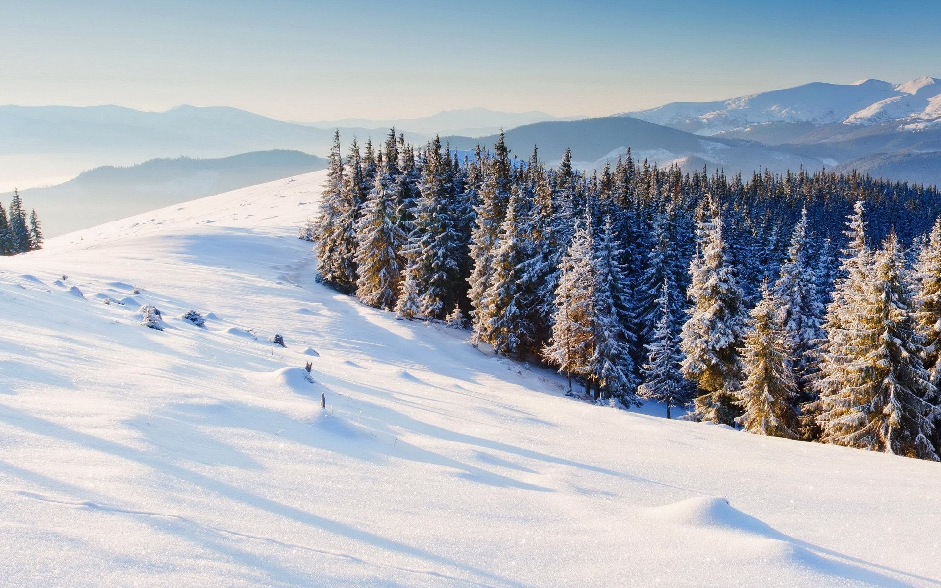 natura zima śnieg choinki drzewa góry zima tło tapeta panoramiczny pełny ekran panoramiczny