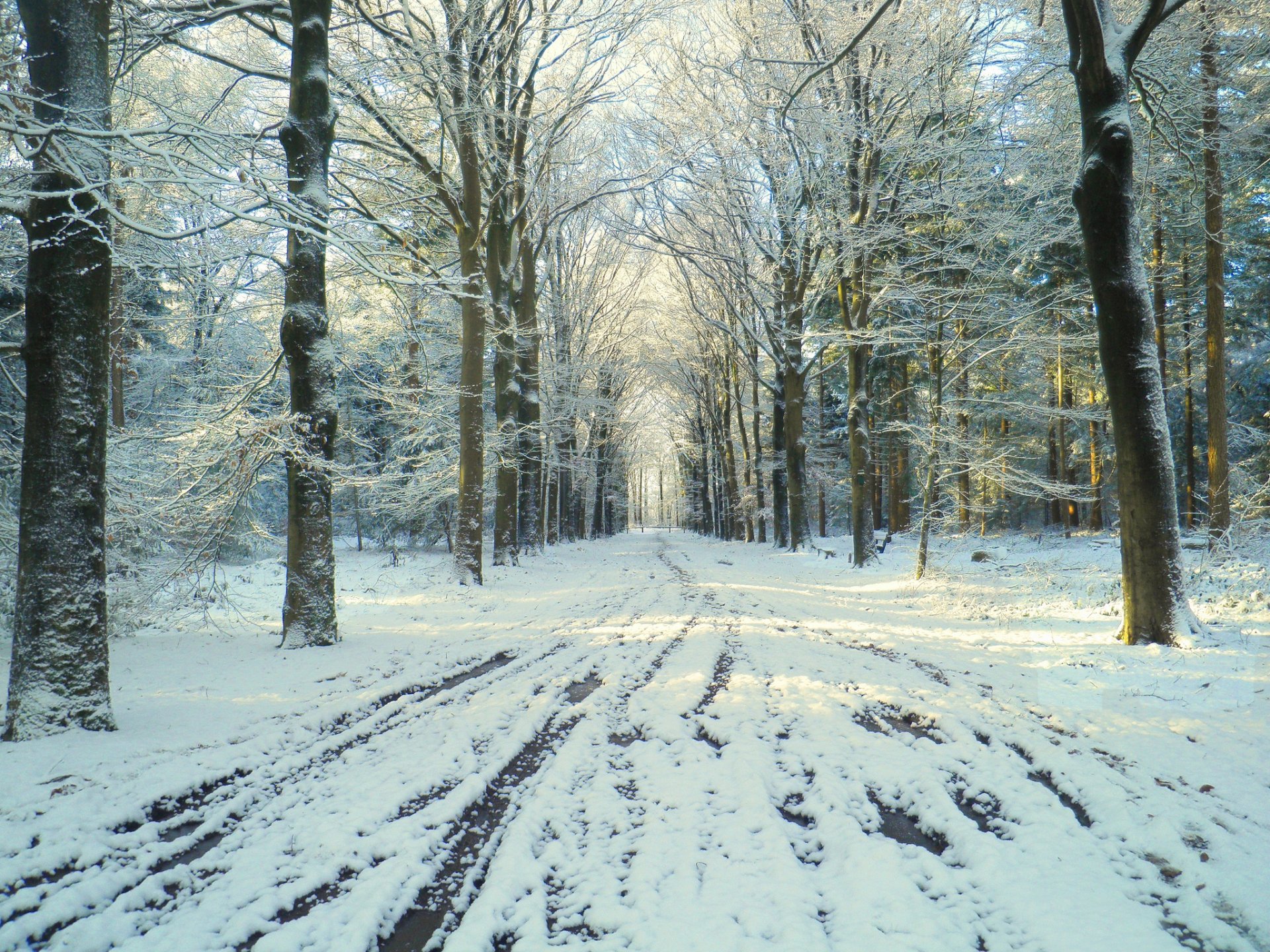 winter park straße schnee tauwetter