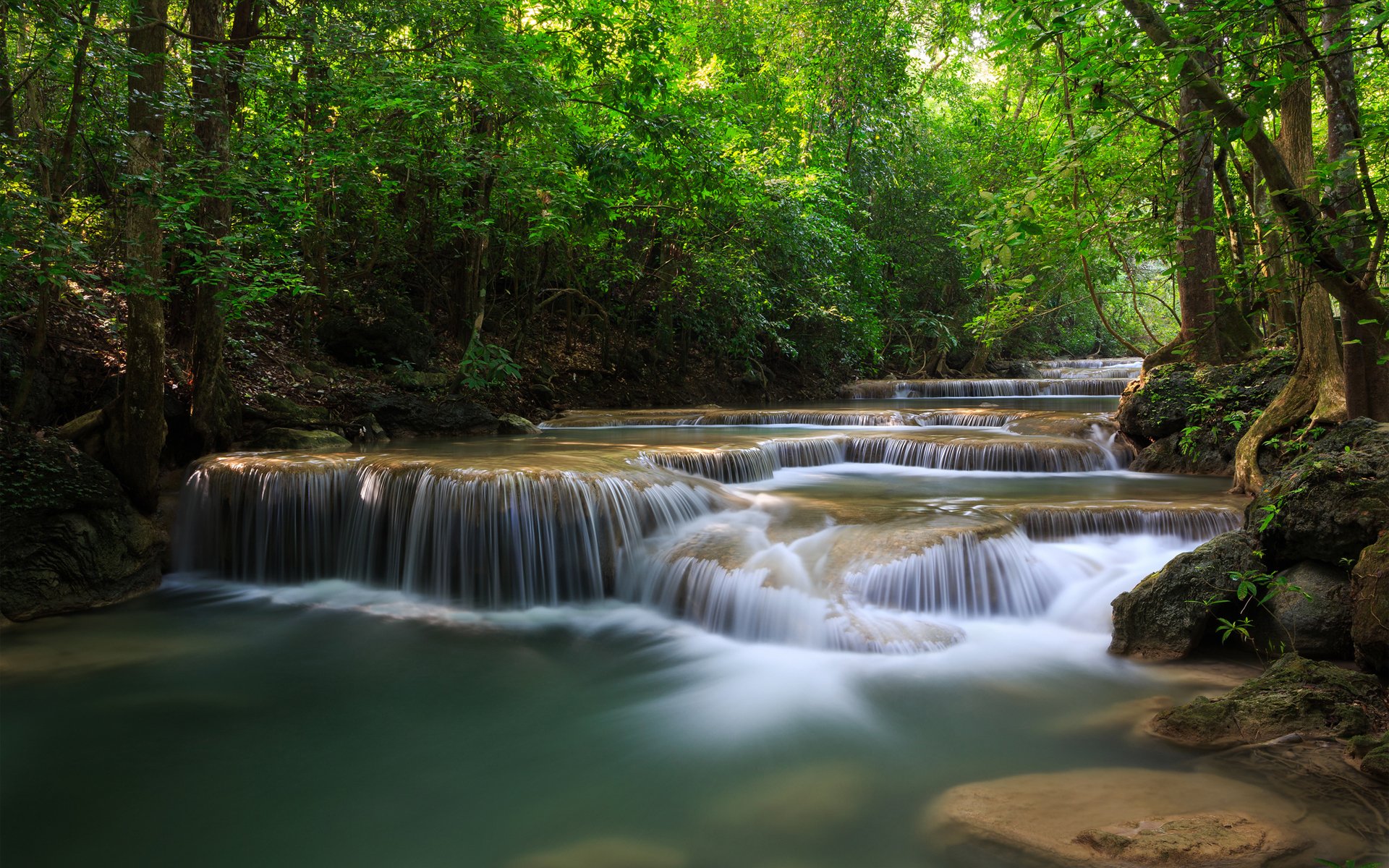 wald bäume wasserfälle fluss grüns