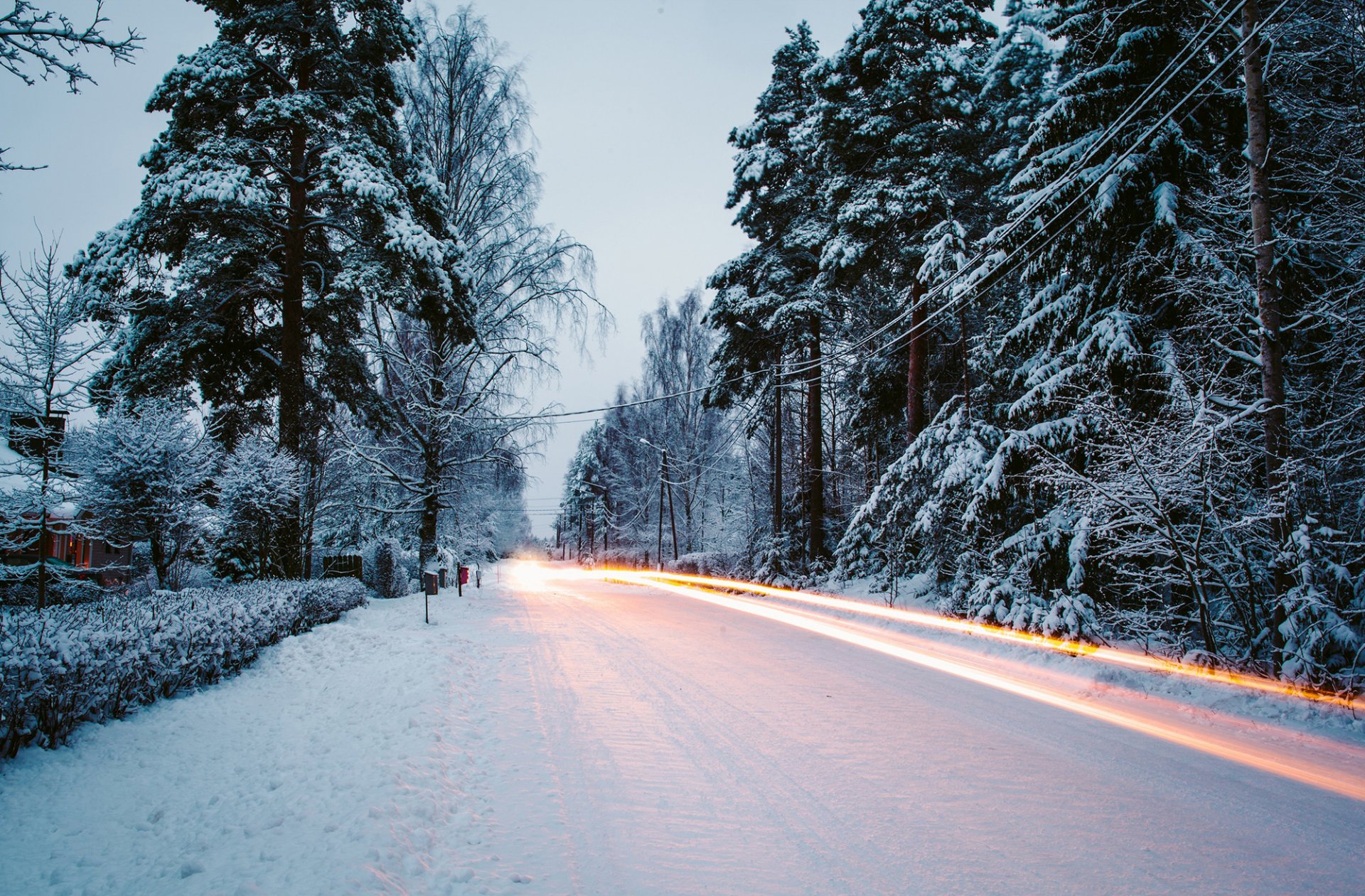 winter schnee natur straße belichtung bäume weihnachtsbäume