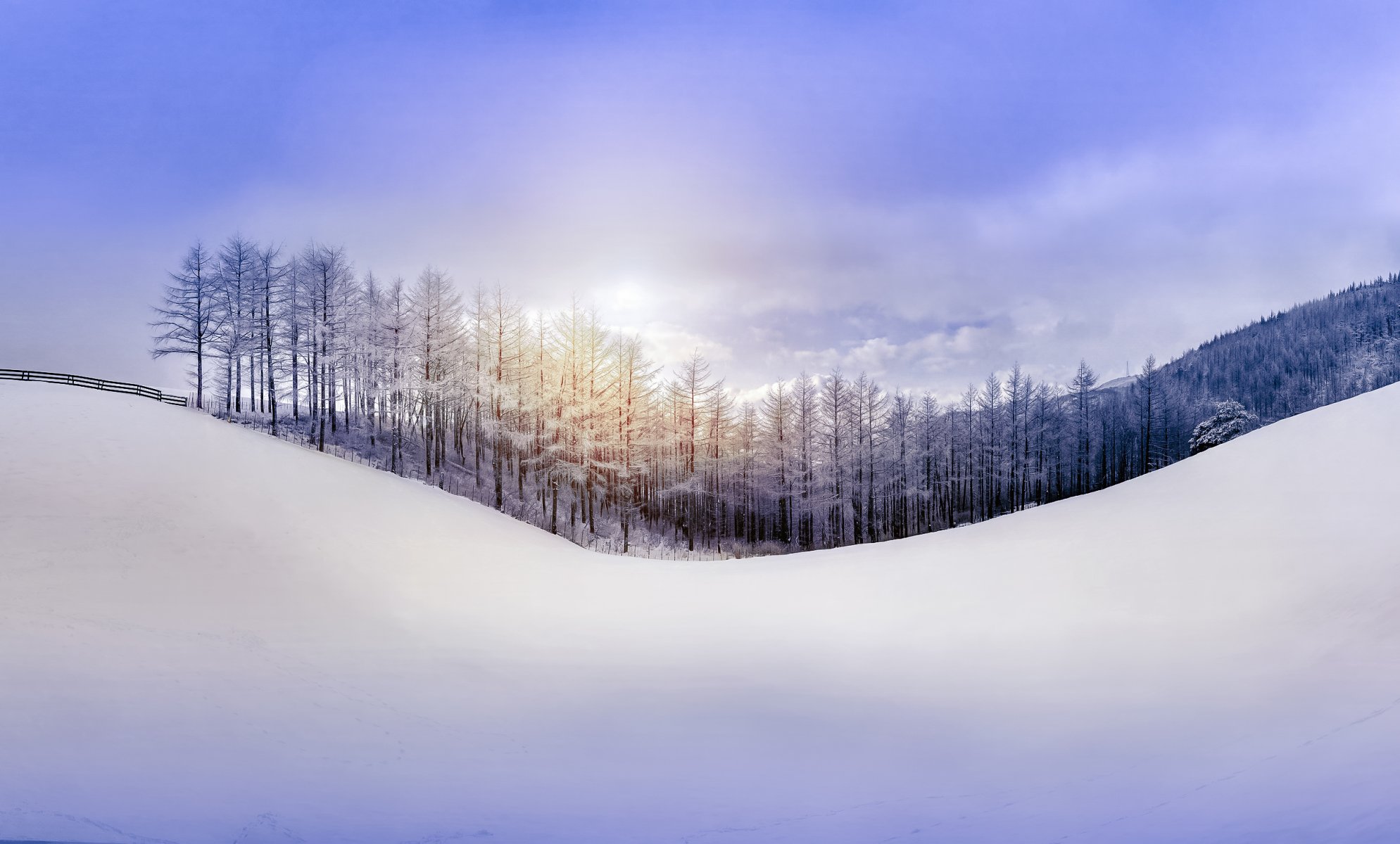 natura zima las śnieg wzgórze niebo