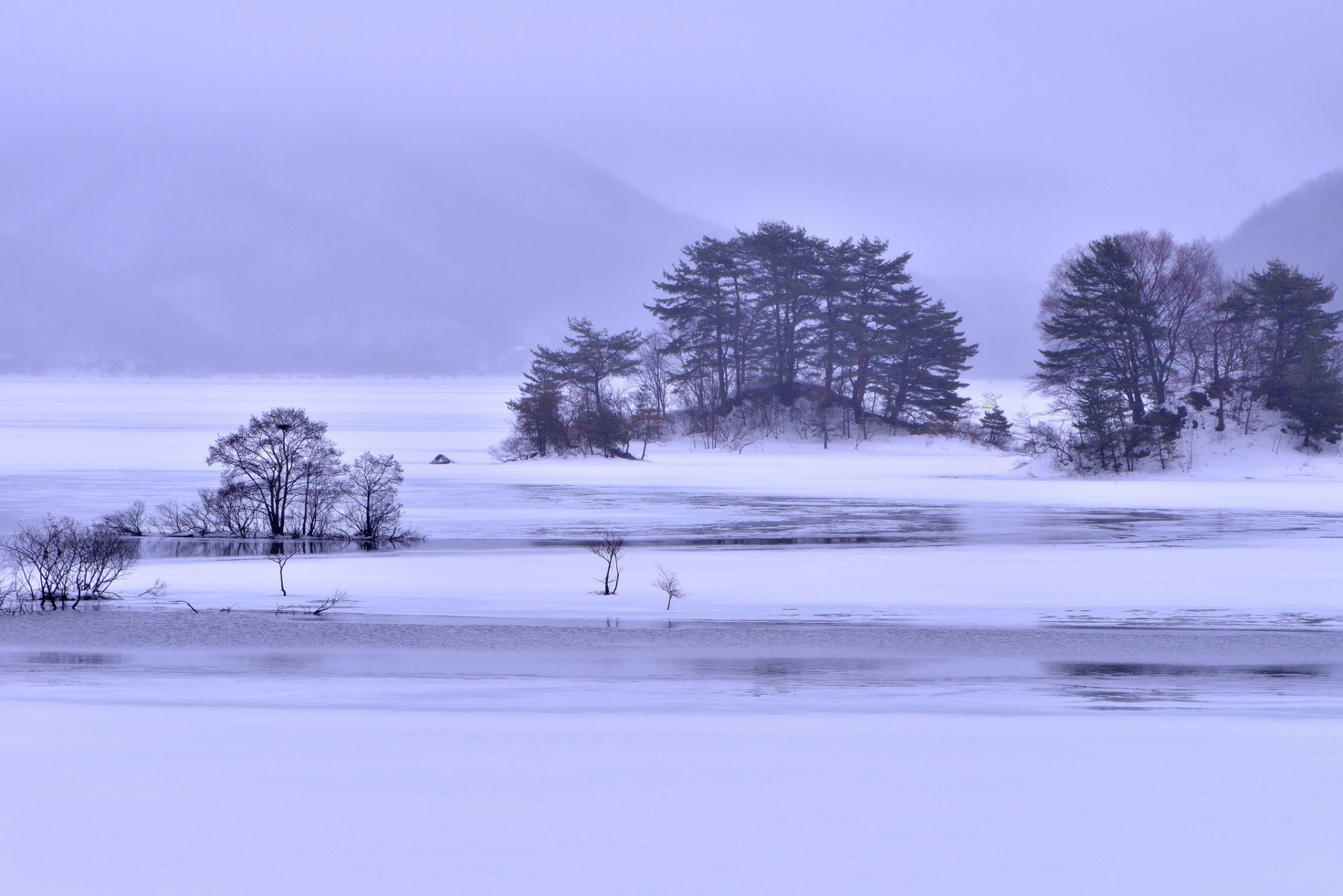 mountain lake islands tree snow next fog winter