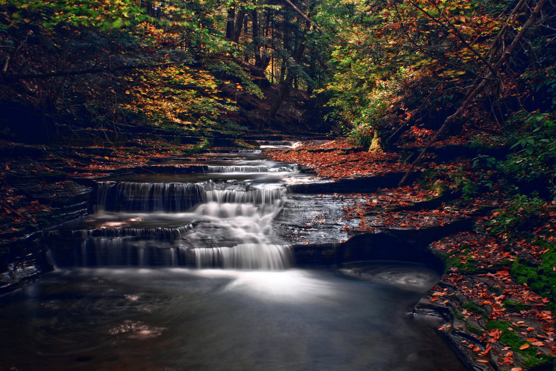 herbst wald fluss bach kaskade