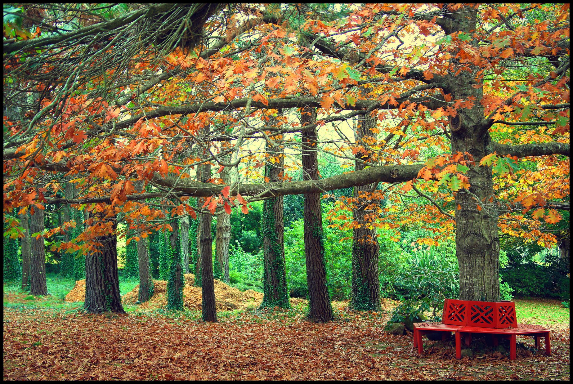 jesień park ławka