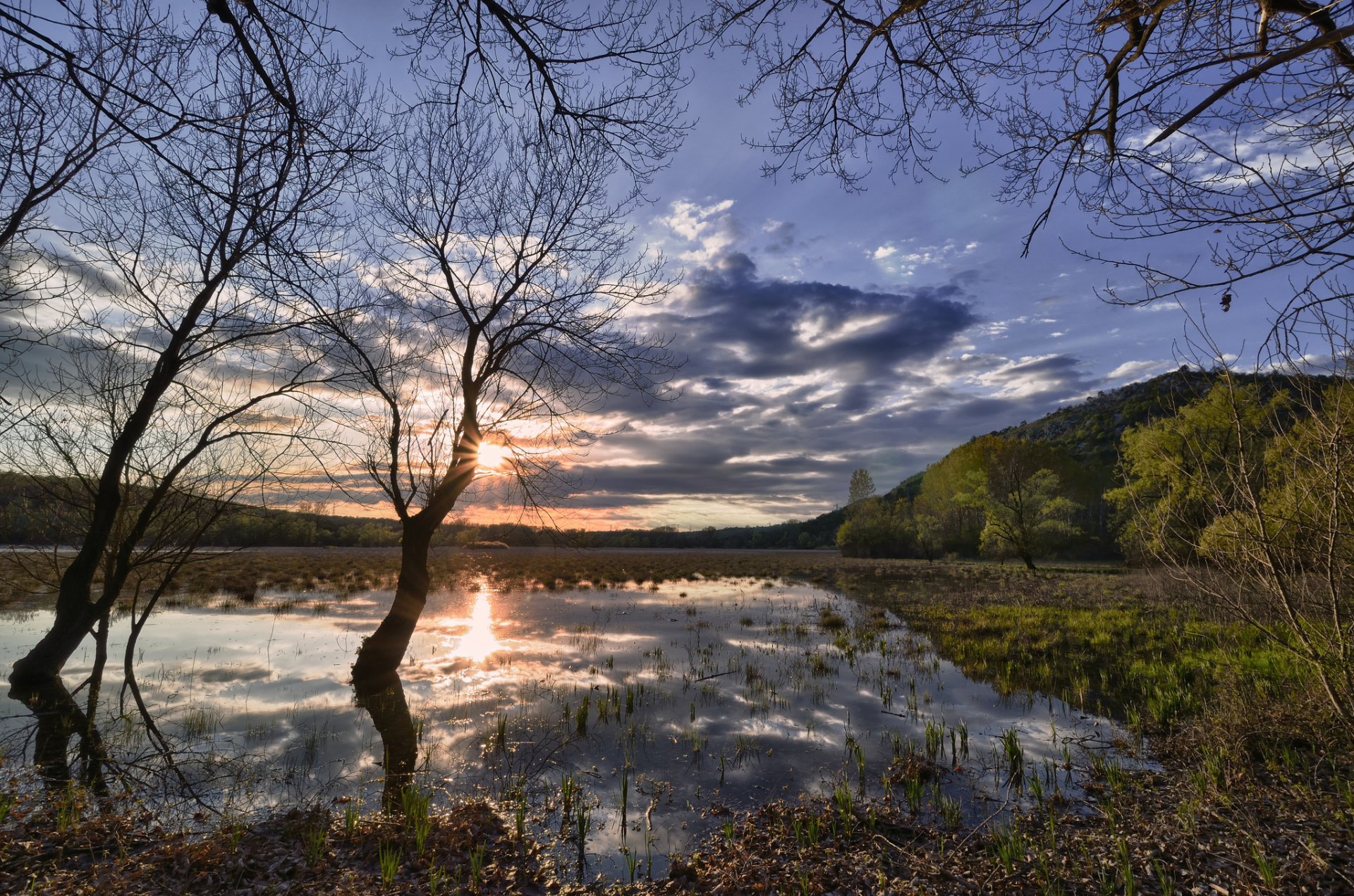 berge tal frühling hochwasser bäume sonne sonnenaufgang