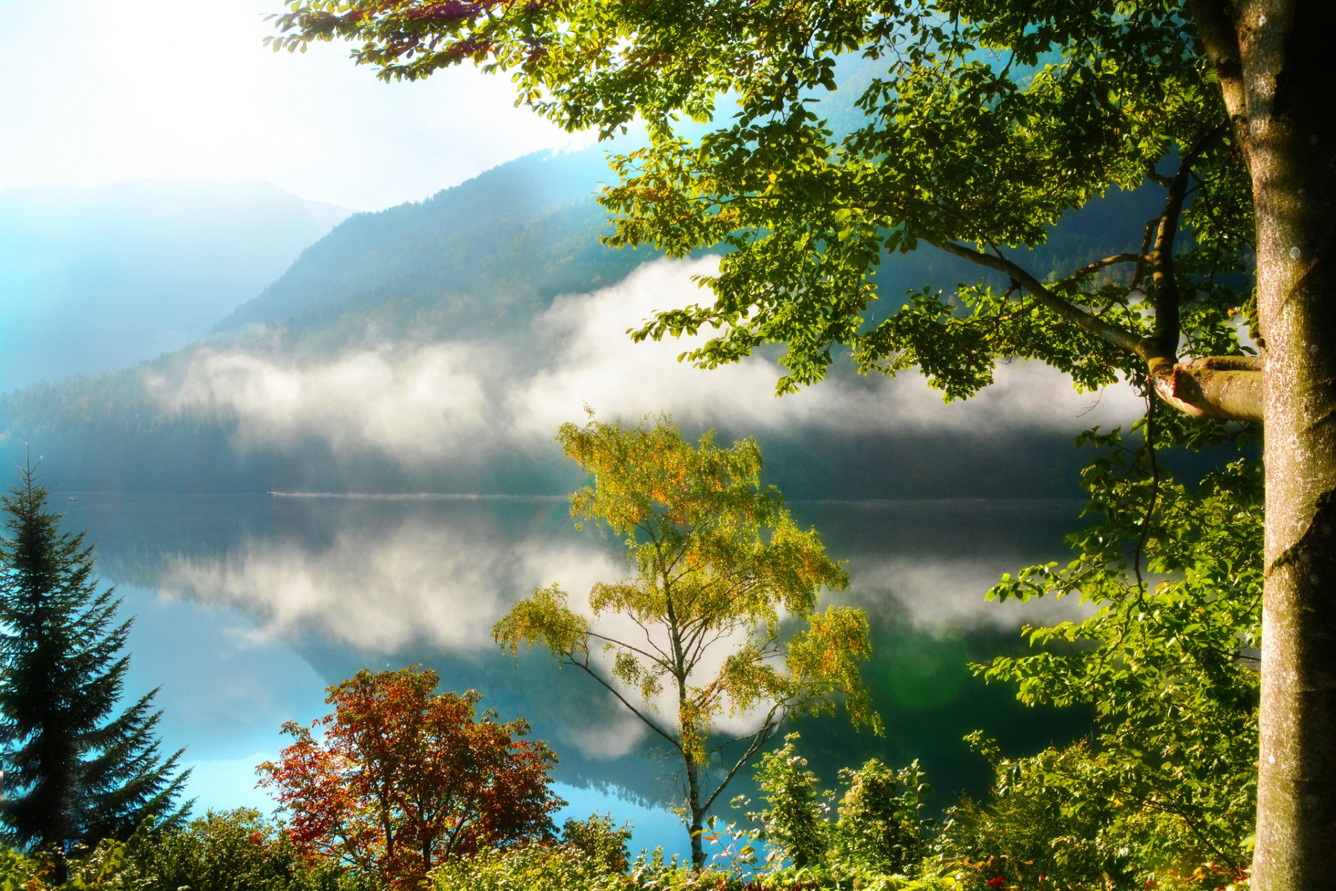 berge wald bäume see nebel morgen reflexion