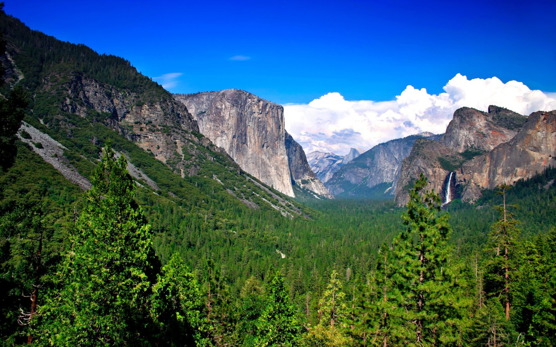 góry las wodospad natura yosemite okna-8